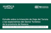 Estudio sobre la Intención de Viaje del Turista y las ... · El presente estudio, elaborado por la sociedad TuHuesca, bajo el título "Estudio sobre la Intención de Viaje del Turista