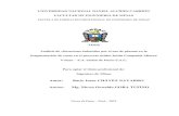 ESCUELA DE FORMACION PROFESIONAL DE INGENIERIA DE MINASrepositorio.undac.edu.pe/bitstream/undac/1760/1/T026... · 2019. 12. 19. · FACULTAD DE INGENIERIA DE MINAS ESCUELA DE FORMACION