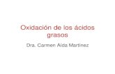 Oxidación de los ácidos grasos - Guía de Bioquímica · 2013. 4. 30. · Acidos Grasos y Glicerol, que se liberan desde el tejido adiposo y se transportan a los tejidos que tiene