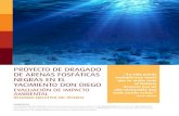 pROyECtO DE DRAGADO DE ARENAS fOSfátICAS...El dragado se realizará anualmente en una angosta franja de fondo marino, de 3.5 km de largo por 200-300 m de ancho (1 km 2 ), y profundizará
