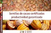 Semillas de cacao certificadas productividad garantizada · 2020. 8. 25. · de utilidad común, integrada por los productores de cacao dentro del territorio de la república de Colombia