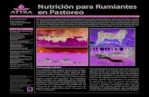 Nutrición para Rumiantes en Pastoreo - ATTRAalimente a los microbios del rumen, que a su vez alimentarán al rumiante. 3. Los requerimientos nutricionales de los rumiantes cambian
