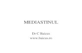 MEDIASTINUL - Baicus · 2011. 11. 11. · –cancer pulmonar - sarcoidoza –histoplasmoza . diagnostic •Rx. fata + profil •CT •mediastinoscopie, toracotomie . Figure 14-1 Windowing