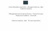 Confederación Argentina de Gimnasia Reglamentaciones …fsgimnasia.com/wp-content/uploads/2018/04/GT-Reglamento... · 2018. 4. 20. · Programa Técnico Nacional 2017 (TRI – TRS