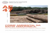 CRIME AMBIENTAL NA BACIA AMAZÔNICA · XIX, ao boom da borracha nos anos 1900 e a vários fluxos de urbanização Uma ocupação mais sistemática e o desmatamento intensificaram-se
