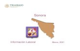 Sonora - Gobsiel.stps.gob.mx:304/.../perfil_sonora.pdf · 2020. 12. 15. · Nacional Sonora Periodo 20,051,552 617,112 Noviembre 2020 Tasa de Desocupación (por ciento) 1/ 2.9 4.4