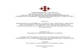 UNIVERSIDAD CATÓLICA DE SANTIAGO DE GUAYAQUIL …repositorio.ucsg.edu.ec/bitstream/3317/2266/1/T-UCSG-PRE... · 2018. 3. 20. · iii UNIVERSIDAD CATÓLICA DE SANTIAGO DE GUAYAQUIL