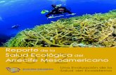 El Arrecife Mesoamericano - Healthy Reefs...indicadores de la salud del arrecife, que constituyen el Índice de Salud Arrecifal. Los datos colectados en 2011/12 en 80 sitios representativos