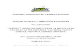 GOBIERNO MUNICIPAL DE CENTINELA DEL CONDOR · 2013. 12. 17. · Pág. 5 GOBIERNO PROVINCIAL DE ZAMORA CHINCHIPE ESTUDIO DE IMPA TO AMIENTAL DEL PROYE TO “ESTUDIO Y DISEÑO DEFINITIVO