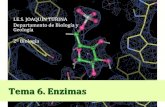 Tema 6. Enzimas · 2018. 11. 28. · 2 Tema 6. Enzimas Concepto de enzima Naturaleza química de los enzimas Acción catalítica Especificidad Inhibición Factores de regulación