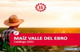 Maíz Ebro 2021 · Innovador sistema de aplicación recubrimiento de los granos totalmente uniforme Bioesti mulantes Bacillus ... PRODUCCIN Gestión eﬁciente del estrés hídrico