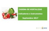 Indicadores e Instrumentos - minagricultura.gov.co...2017/09/30  · La cebolla de bulbo, es el principal producto hortícola importado, representando para el 2017 el 58% del volumen