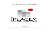 RAMO: DERECHO PENAL Icursos.iplacex.cl/CED/DPE4401/S2/ME_2.pdf · 2014. 8. 17. · Los principios relacionados con la validez espacial de la ley penal, están constituidos por los