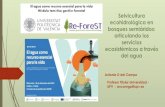 Selvicultura ecohidrológica en bosques semiáridos ......2020/12/03  · Selvicultura ecohidrológica en bosques semiáridos: articulando los servicios ecosistémicos a través del