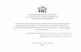 UNIVERSIDAD DE GUAYAQUIL FACULTAD DE CIENCIAS MÉDICAS …repositorio.ug.edu.ec/bitstream/redug/30678/1/CD 2262... · 2020. 8. 19. · CERVANTES HERNANDEZ C.C 0926974965 Y MONICA