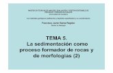 TEMA 5. La sedimentación como proceso formador de rocas y de … · 2010. 12. 6. · influencia en los procesos sedimentarios, formación de suelos, erosión, etc., y a la fauna,