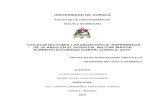 UNIVERSIDAD DE CUENCA · 2020. 8. 4. · UNIVERSIDAD DE CUENCA 3 FELIPE ISMAEL ULLOA GÓMEZ HENRY DAVID VEGA CUADRADO ABSTRACT Introduction: Colectomy, the most common reason for