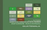 Guatemala: El estado de los recursos genéticos forestales en ...Este informe del país se ha preparado como contribución al informe de la FAO sobre El estado de los recursos genéticos