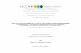 UNIVERSIDAD CATÓLICA ANDRÉS BELLO FACULTAD ...biblioteca2.ucab.edu.ve/anexos/biblioteca/marc/texto/AAT...UNIVERSIDAD CATÓLICA ANDRÉS BELLO FACULTAD DE HUMANIDADES Y EDUCACIÓN