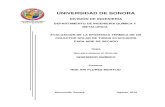 UNIVERSIDAD DE SONORAconcentracionsolar.org.mx/images/pdf/tesis/l20_noe_ari... · 2018. 11. 16. · universidad de sonora divisiÓn de ingenierÍa departamento de ingenierÍa quÍmica