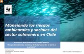 Manejando los riesgos ambientales y sociales del sector ......2 Estudio de caso Chile: Trabajando juntos por una acuicultura responsable 2011 Vinculación entre WWF y Rabobank con