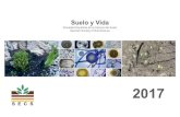 Sociedad Española de la Ciencia del Suelo Spanish Society ......Suelo y Vida Sociedad Española de la Ciencia del Suelo Spanish Society of Soil Science 2017 Suelo y Vida Sociedad