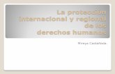 La recepción nacional de los tratados internacionales de derechos humanosarchivos.diputados.gob.mx/comisionesLXI/Derechos_Humanos... · 2015. 10. 28. · Diferencia entre Tratados