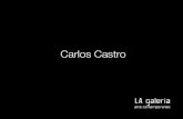 Carlos Castro - Arte Contemporáneola-galeria.com.co/portafolios/portafolio_carloscastro.pdf · 2017. 2. 21. · Santiago Rueda Fajardo, 2011 . CARLOS CASTRO - HARVEST. Carlos Castro