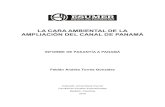 LA CARA AMBIENTAL DE LA AMPLIACIÓN DEL CANAL DE PANAMÁrepositorio.esumer.edu.co/bitstream/esumer/1339/2/Esumer... · 2019. 7. 31. · la Ampliación del Canal de Panamá. Mencionar