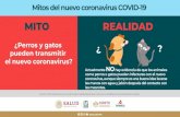 perro y gato.140220 - San Luis Potosí perro y gato... · 2020. 11. 14. · ¿Perros y gatos pueden transmitir el nuevo coronavirus? ¿ ? Mitos del nuevo coronavirus COVID-19. Title: