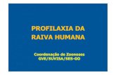 PROFILAXIA DA RAIVA HUMANA - Portal Goiás Digital · 2019. 11. 11. · raiva humana em 2016 –59.000 mil casos de rh no mundo –Ásia, África, amÉricas (haiti); 2016 –02 casos