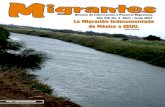 Contenido Migrantes - Casa del Migrante Tijuana"El jorobado de Notre Dame". La escena es cuando el jorobado rescata a la gitana Esmeralda, llevándola a la gran catedral Notre Dame