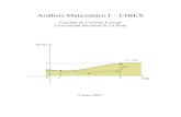Análisis Matemático I CIBEX · 2017. 2. 21. · Este curso de Análisis Matemático I se rige por los reglamentos de laacultadF para CIBEX. Se debe cumplir con la asistencia al