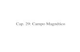 Cap. 29: Campo Magnético - Recinto Universitario de Mayagüezmagnética, visualizadas por limaduras de hierro Líneas de campo magnético dentro y fuera de una barra magnética Líneas