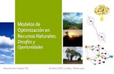 Modelos de Optimización en Recursos Naturales · 2016. 5. 17. · Modelos de Optimización en Recursos Naturales: Desafíos y Oportunidades Rene Zamora-Cristales, PhD SemSem CATIE,