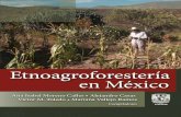 Etnoagroforestería en México...Etnoagroforestería en México fue financiado por la Escuela Nacional de Estudios Superiores, Unidad Morelia y el Instituto de Investigaciones en Ecosistemas