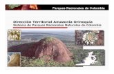 Dirección Territorial Amazonía Orinoquía - OASoas.org/dsd/events/english/pa_panama/documents/colombia.pdf · 2005. 7. 12. · UNIDAD ADMINISTRATIVA DEL SISTEMA DE PARQUES NACIONALES