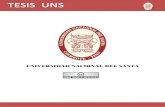 UNIVERSIDAD NACIONAL DEL SANTA · 2020. 4. 21. · universidad nacional del santa facultad de ingenierÍa "aplicaciÓn de la metodologÍa de sistemas blandos para generar estrategias
