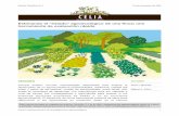 Estimando el “estado” agroecológico de una ﬁnca: una ...celia.agroeco.org/wp-content/uploads/2020/11/Estimando...manejo del agroecosistema. Como se muestra en la Figura 1, los