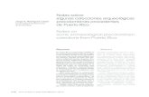 Notas sobre - Dialnet · 2012. 6. 18. · Notas sobre algunas colecciones arqueológicas precolombinas procedentes de Puerto Rico Notes on some archaeological precolombian colections