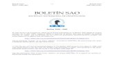 BOLETÍN SAOsao.org.co/publicaciones/boletinsao/Indice.pdf · 2017. 6. 27. · Boletín SAO - 1 - Boletín SAO Índice 1990-2002 1990-2002 Index