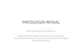 PATOLOGÍA RENALPATOLOGÍA RENAL ALGUNAS ENTIDADES RENALES DRA MARCELA ZABALA (Residente de Nefrología) DRA SUSANA MARQUEZ (Docente de Anatomía Patológica)-NOVIEMBRE 2019•Eliminación