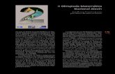 II Olimpiada Matemática Nacional Alevínfunes.uniandes.edu.co/14925/1/Cortinnas2019II.pdf · 2020. 2. 12. · después de 12 años de Olimpiadas de Primaria locales, para nosotros