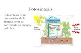 Fotosíntesis y Respiración Celularbiotiempo.weebly.com/uploads/9/4/5/8/94588683/... · 2019. 10. 8. · FOTOSINTESIS Proceso a través del cual los organismos vegetales especialmente