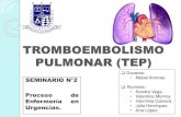 TROMBOEMBOLISMO PULMONAR (TEP) · PDF file 2019. 12. 28. · DEFINICIÓN. TROMBOEMBOLISMO PULMONAR (TEP) es la oclusión de las arterias pulmonares por coágulos de sangre desprendidos