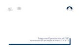 Programa Operativo Anual 2013 - APIVER · 2017. 12. 5. · Programa Operativo Anual 2013 Administración Portuaria Integral de Veracruz, ... Información General sobre la Elaboración