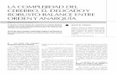 LA COMPLEJIDAD DEL CEREBRO, EL DELICADO y ROBuSTO BALANCE ENTRE ORDEN y ANARquíAaargentinapciencias.org/wp-content/uploads/2018/06/1... · 2018. 6. 6. · La complejidad del cerebro,