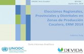 Elecciones Regionales, Provinciales y Distritales en Zonas de …gestion2.e3.pe/doc/0/0/0/6/2/62360.pdf · 2014. 9. 11. · Población electoral 2014 de cuencas cocaleras, según