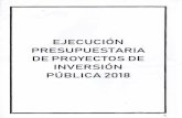 EJECUCION PRESUPUESTARIA DE PROYECTOS DE ......PACHABAMBA, DIS TRITO DE SANTA MARIA DEL VALLE· HUANUCO - HUANUCO 2424705: INCREMENTO DE LA PRODUCCION EN EL USO DE BUENAS PRACTICAS
