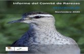 Informe del Comité de Rarezas SEO/BirdLifeFoto 2. Águila moteada Clanga clanga del tipo fulvescens. Laguna de Sariñena (Sariñena, Huesca). Foto: Eduardo Gracia. Durante este mes